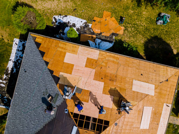 Best Roof Repair Services  in Coronita, CA